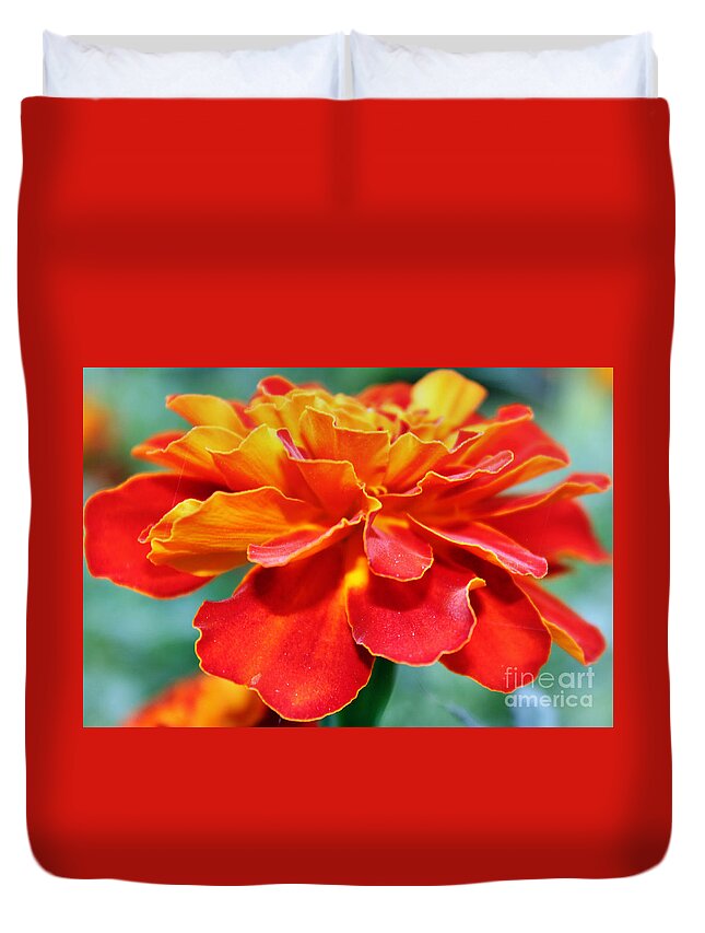 Marigold Duvet Cover featuring the photograph Orange And Yellow Marigold by Judy Palkimas