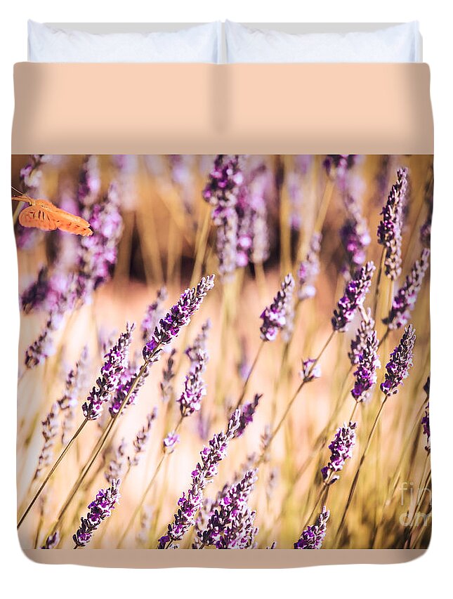 Butterfly Duvet Cover featuring the photograph Orange Butterfly by Matteo Colombo