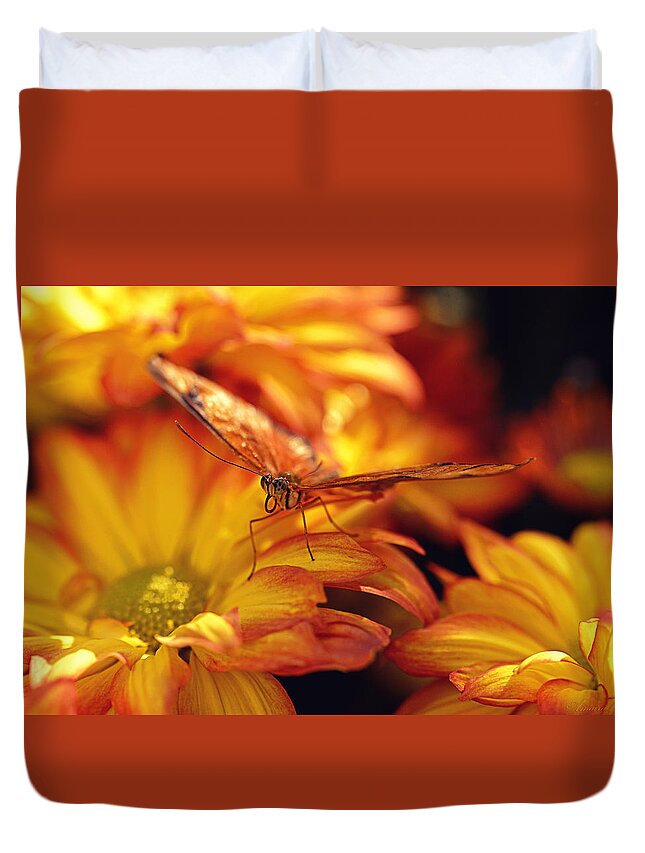 Mums Duvet Cover featuring the photograph Orange Butterfly On Yellow Mums by Maria Angelica Maira