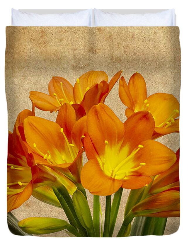 Lily Blossoms Duvet Cover featuring the photograph Orange Clivia Lily by Sandra Foster