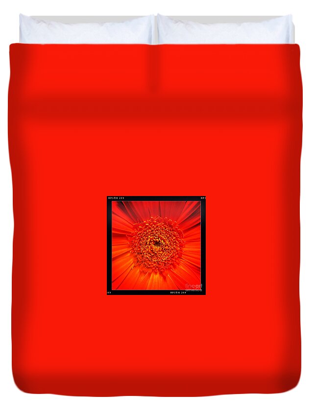 Flower Duvet Cover featuring the photograph Orange by Denise Railey