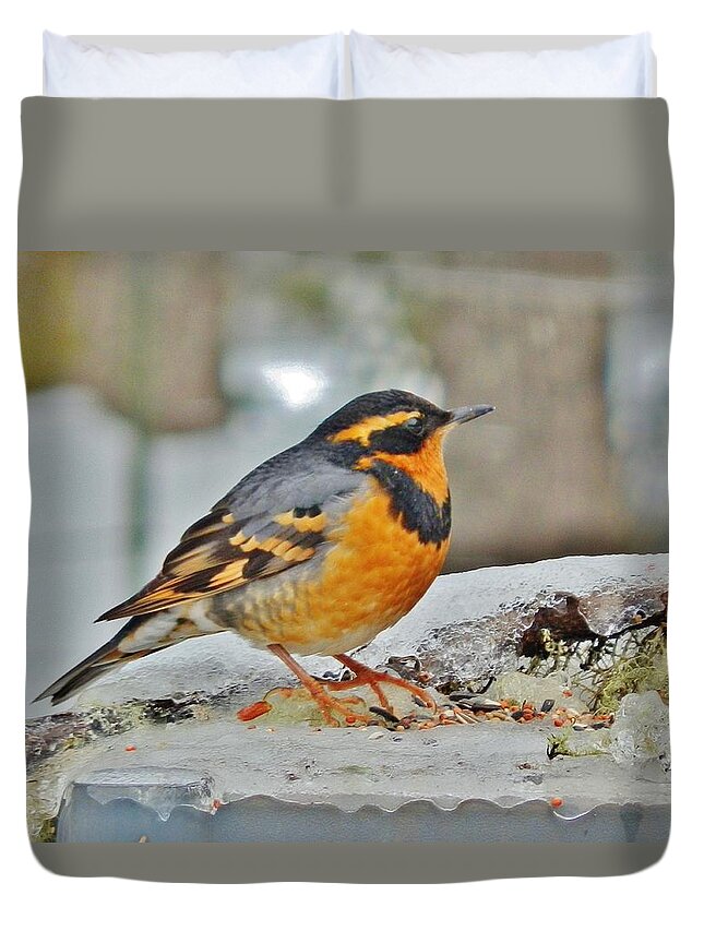 Bird Duvet Cover featuring the photograph Orange Glow of Winter by VLee Watson