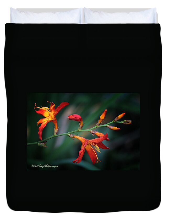 Lily Duvet Cover featuring the photograph Orange Lily by Lucy VanSwearingen