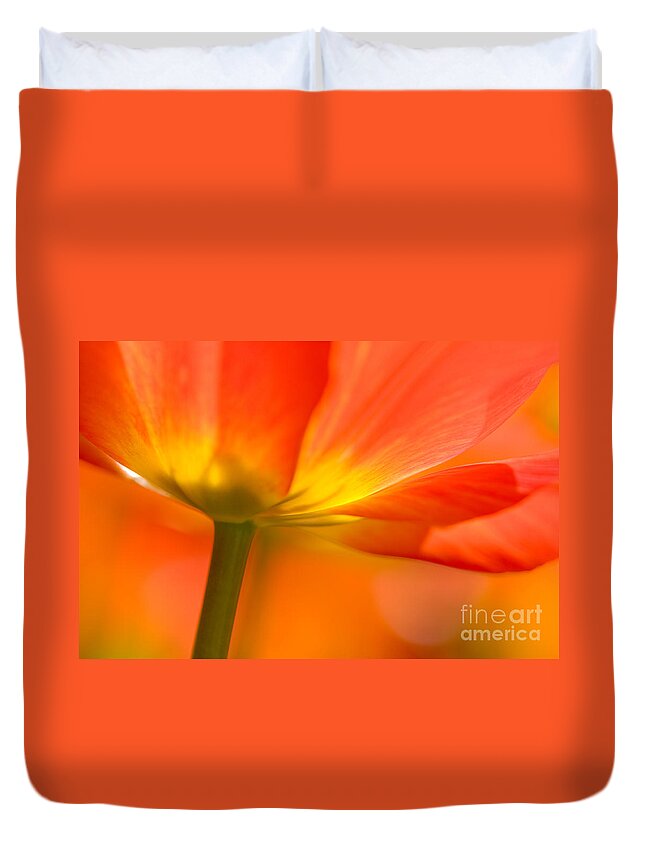 Nature Duvet Cover featuring the photograph Orange Tulip by Oscar Gutierrez