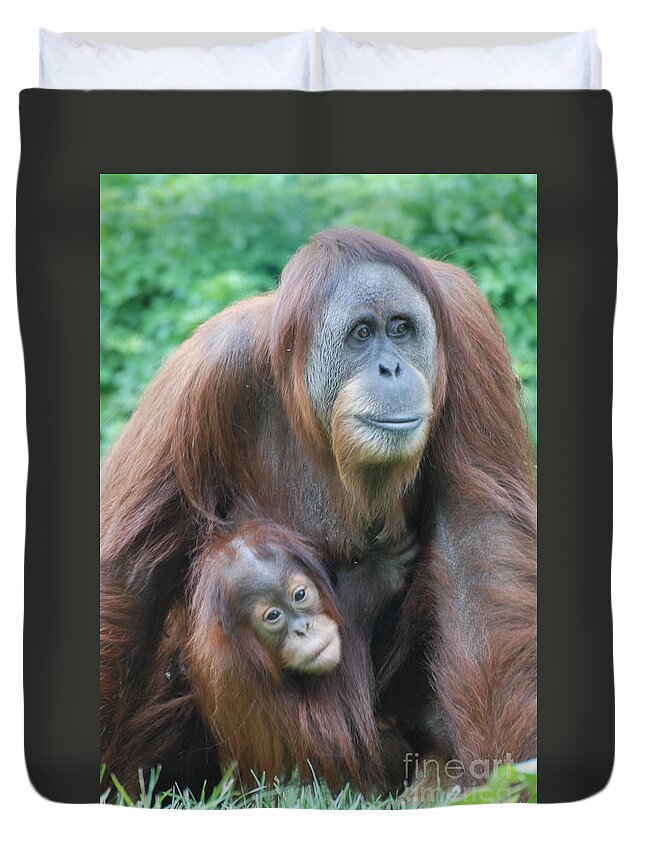 Orangutan Duvet Cover featuring the photograph Orangutan by DejaVu Designs