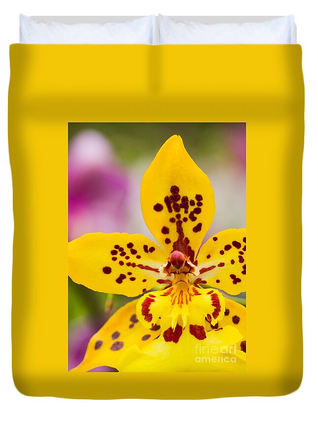 Orchid Duvet Cover featuring the photograph Orchid 2 of 3 by Brad Marzolf Photography