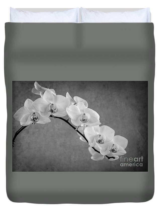 Asia Duvet Cover featuring the photograph Orchid Bw by Hannes Cmarits