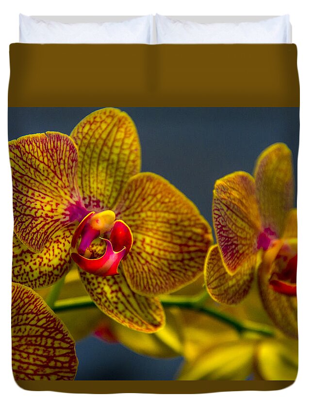 Flowers Duvet Cover featuring the photograph Orchid Color by Marvin Spates