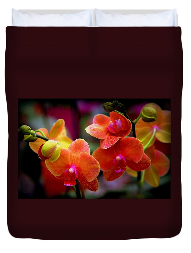 Orchids Duvet Cover featuring the photograph Orchid Melody by Karen Wiles