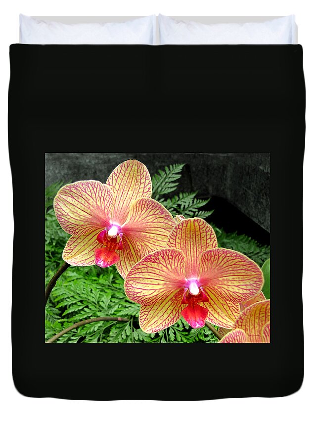 Duane Mccullough Duvet Cover featuring the photograph Orchid Pair by Duane McCullough