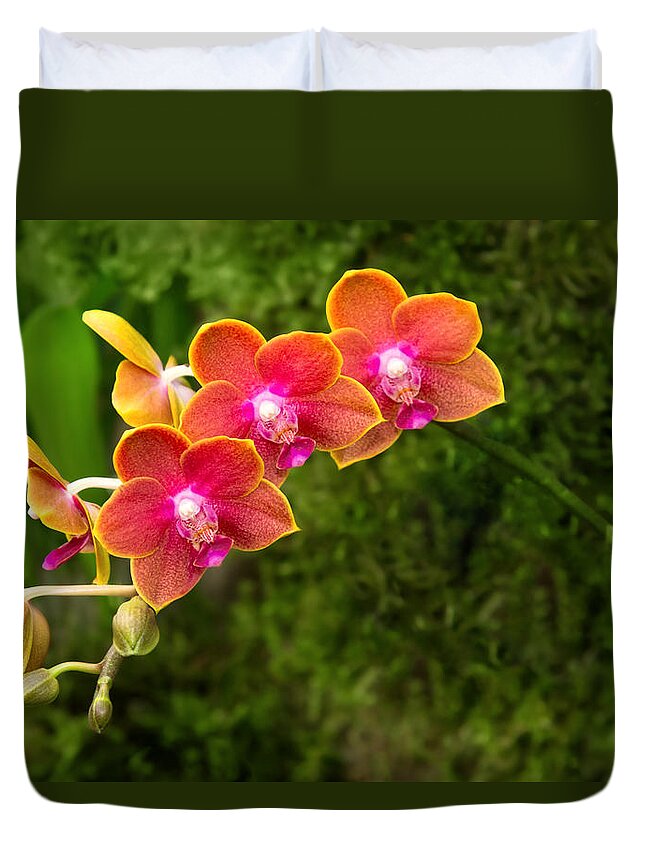 Phalaenopsis Duvet Cover featuring the photograph Orchid - Phalaenopsis - Tying Shin Cupid by Mike Savad