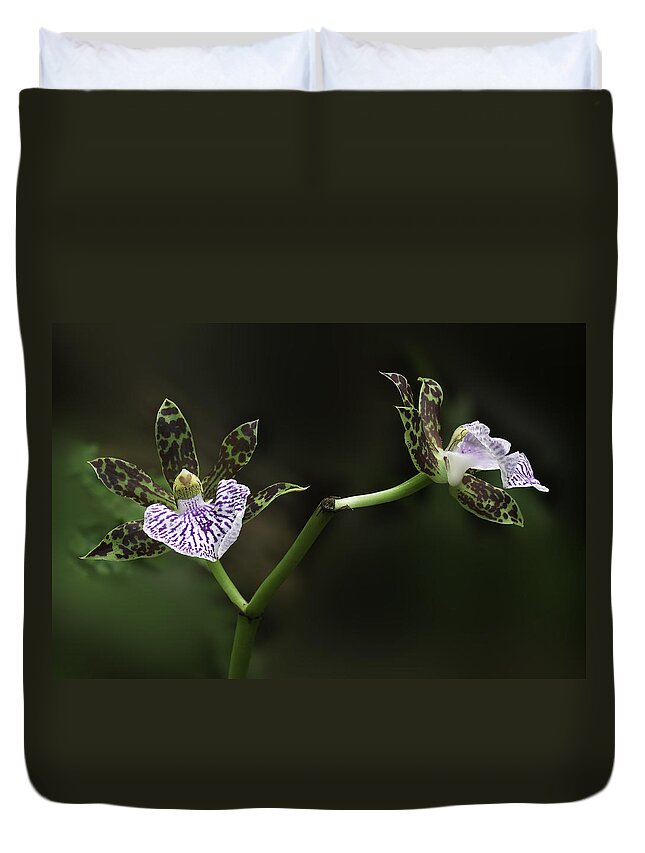 Orchid Duvet Cover featuring the photograph Orchid by Ram Vasudev