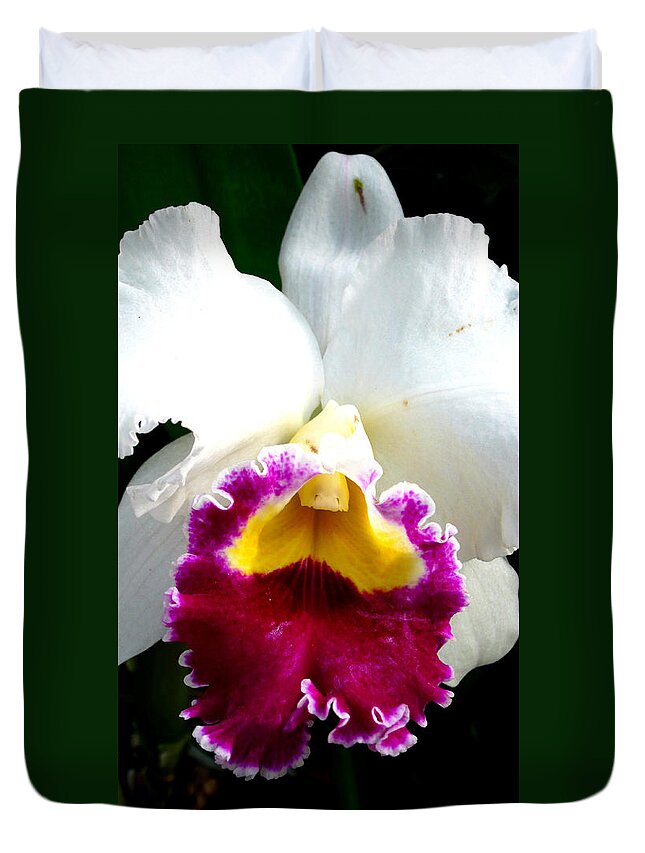 Orchid Duvet Cover featuring the photograph Orchid Series 2 by Katy Hawk