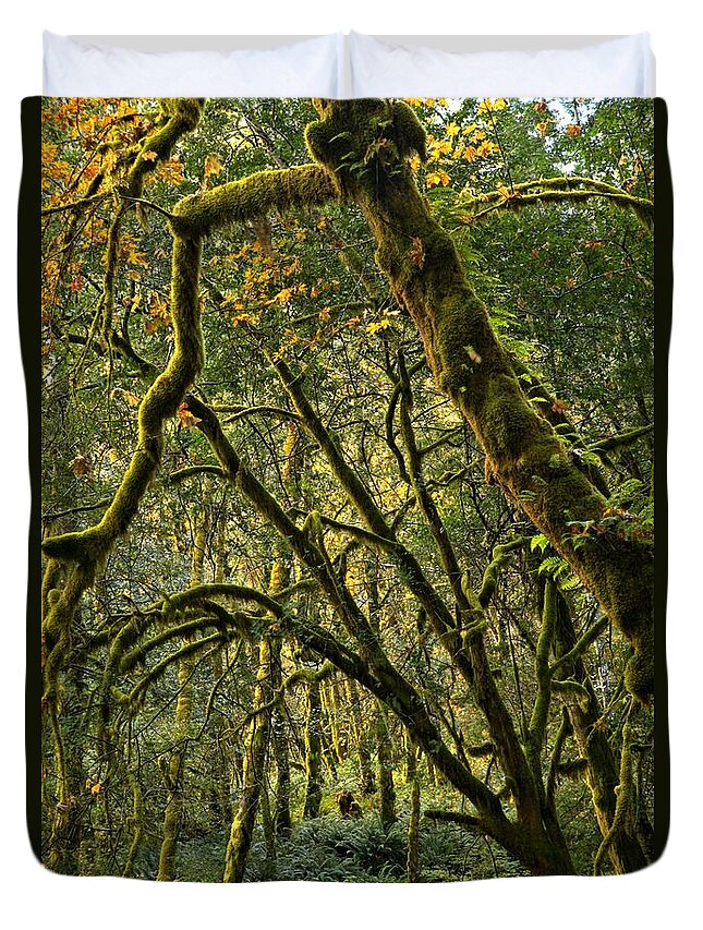 Oregon Rainforest Duvet Cover featuring the photograph Oregon Rainforest Green by Adam Jewell