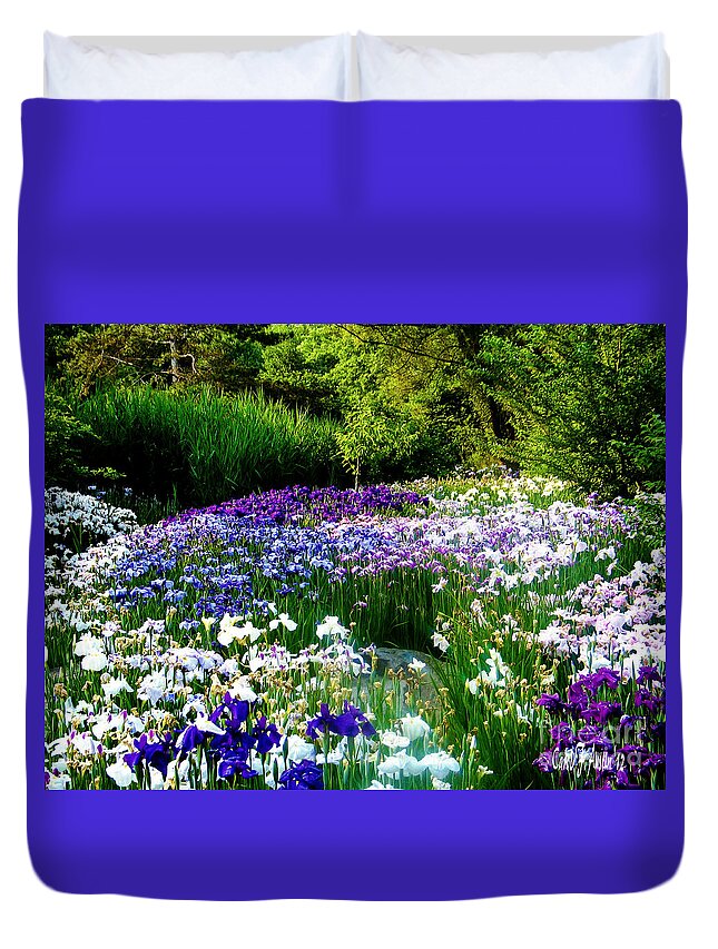 Iris Duvet Cover featuring the photograph Japanese Iris Botanical Garden Wall Art by Carol F Austin