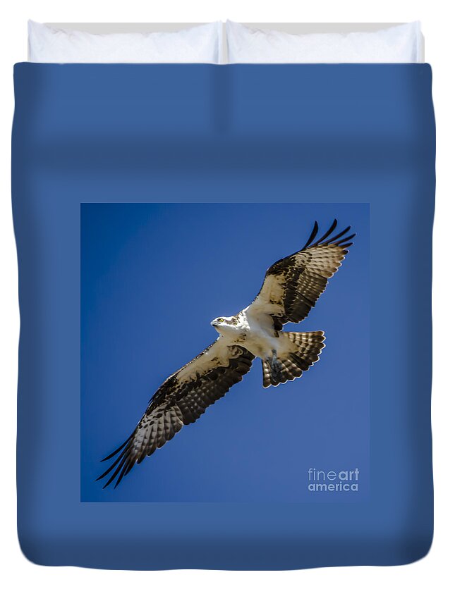 Osprey In Flight Duvet Cover featuring the photograph Osprey in Flight by Dale Powell