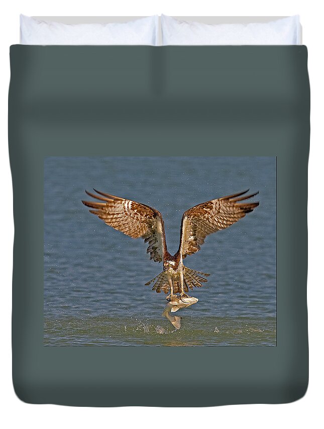 Osprey Duvet Cover featuring the photograph Osprey Morning Catch by Susan Candelario