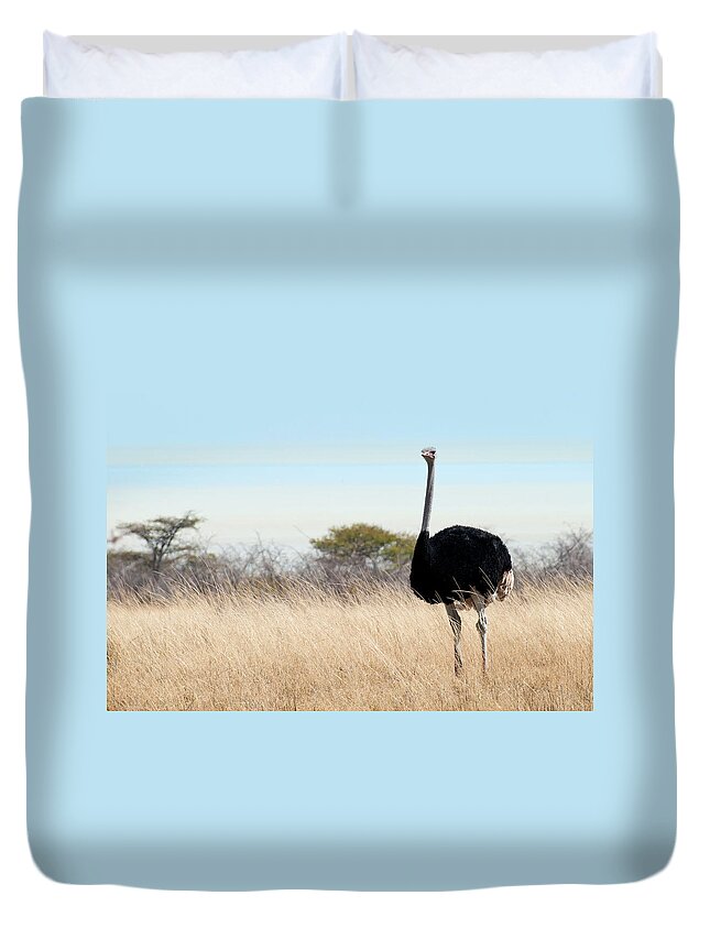 Grass Duvet Cover featuring the photograph Ostrich Struthio Camelus by Ignacio Palacios