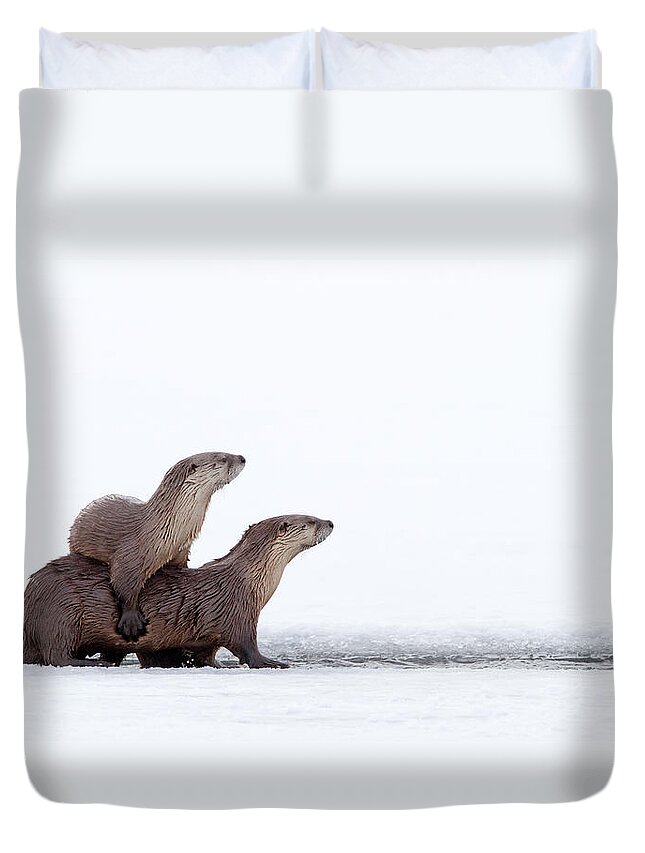 Otter Duvet Cover featuring the photograph Otter Stepladder by Max Waugh