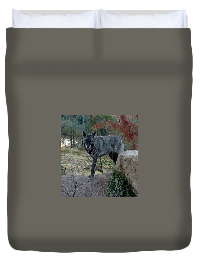 Out Of Africa Duvet Cover featuring the photograph Out of Africa Black Wolf by Phyllis Spoor