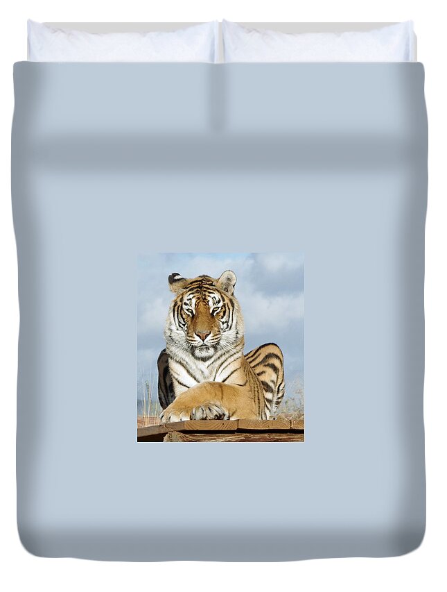 Out Of Africa Duvet Cover featuring the photograph Out of Africa Tiger 3 by Phyllis Spoor