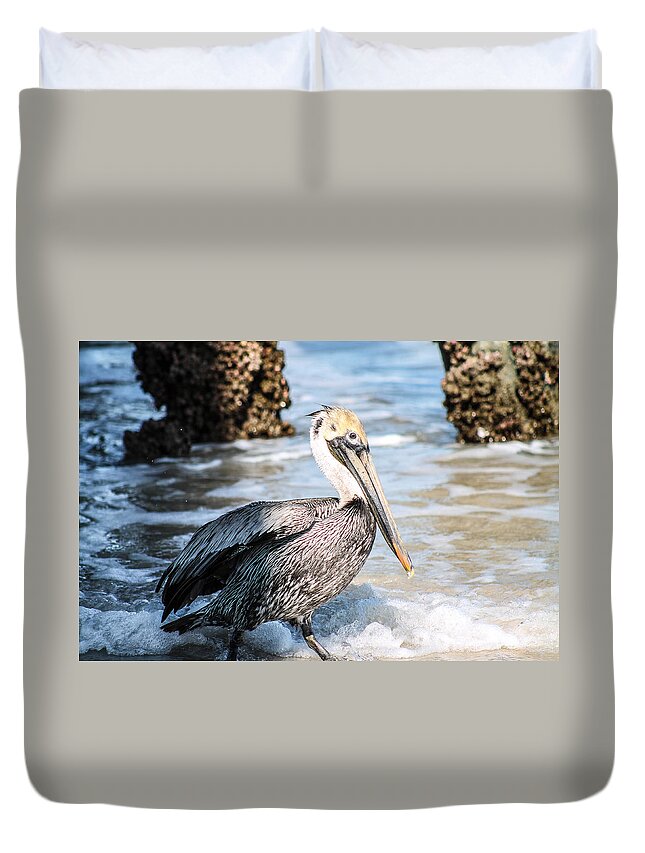 Bird Duvet Cover featuring the photograph Out of the shadows by Jessica Brown