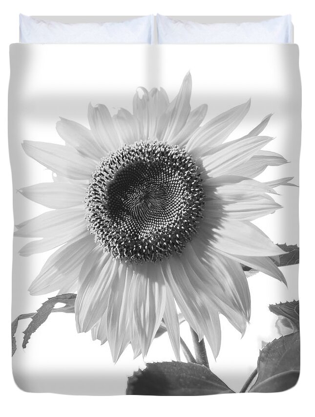 Bee Duvet Cover featuring the photograph Over Looking the Garden by Alana Ranney