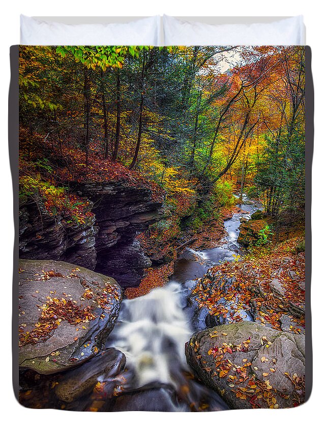 Ricketts Glen Kitchen Creek Duvet Cover featuring the photograph Over the falls by Mark Papke