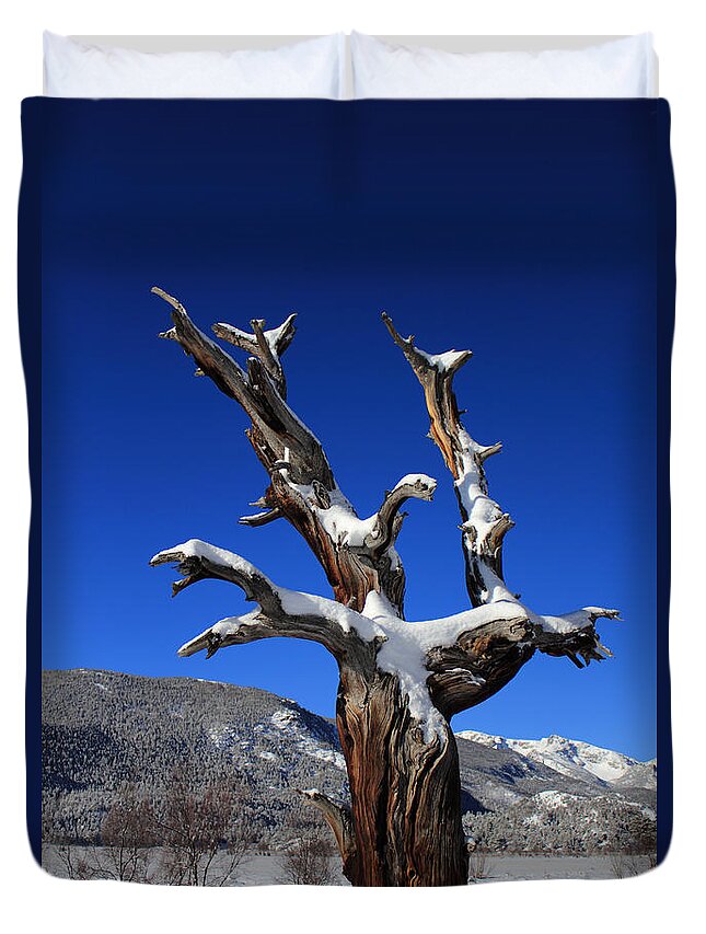 Valley Duvet Cover featuring the photograph Overlooking The Valley by Shane Bechler