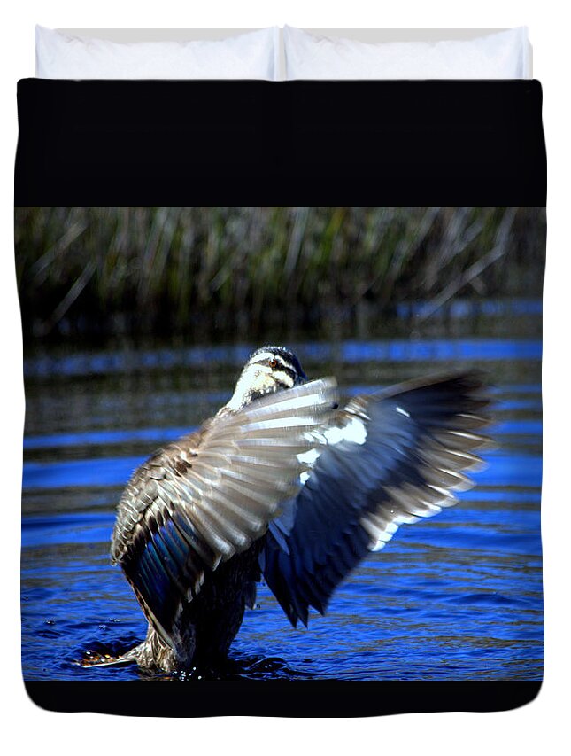 Pacific Black Duck Duvet Cover featuring the photograph Pacific Black Duck by Miroslava Jurcik