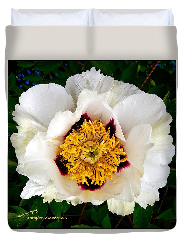 Peony Duvet Cover featuring the photograph Paeonia Rockii Xue Lian by Torbjorn Swenelius