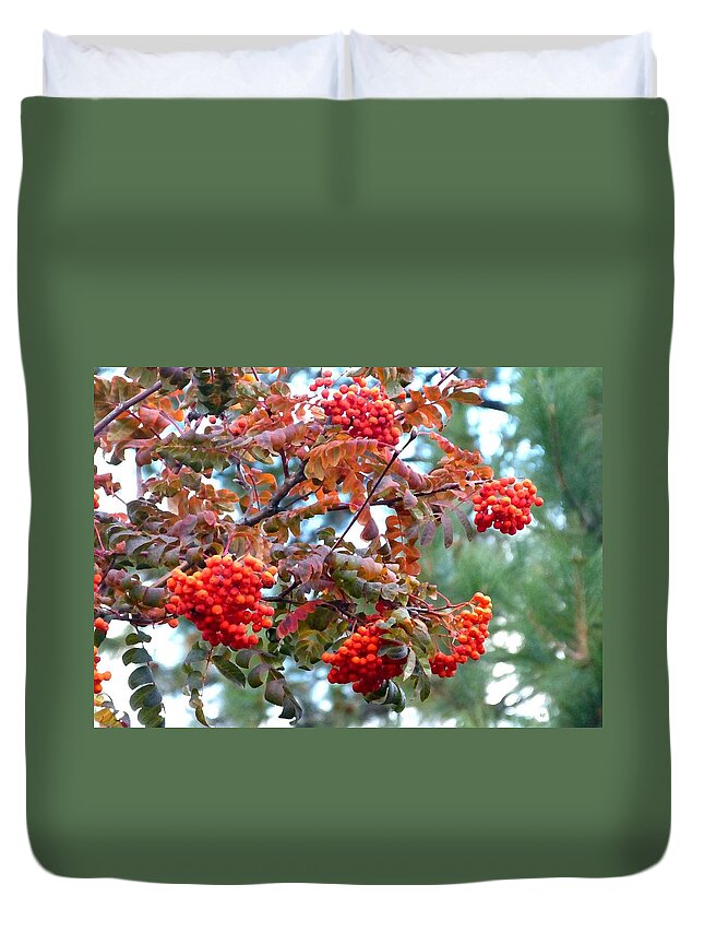 Painted Mountain Ash Berries Duvet Cover featuring the digital art Painted Mountain Ash Berries by Will Borden