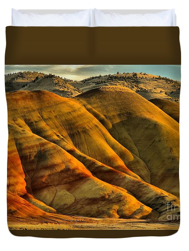  Duvet Cover featuring the photograph Painted Red And Gold by Adam Jewell