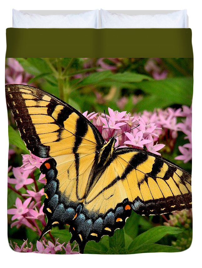 Fine Art Duvet Cover featuring the photograph Painted Wings by Rodney Lee Williams