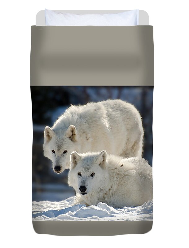Arctic Duvet Cover featuring the photograph Pair of arctic wolves by Les Palenik
