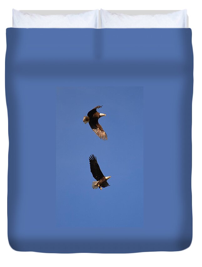 Birds Duvet Cover featuring the photograph Pairs in Flight and Life by Tamara Michael