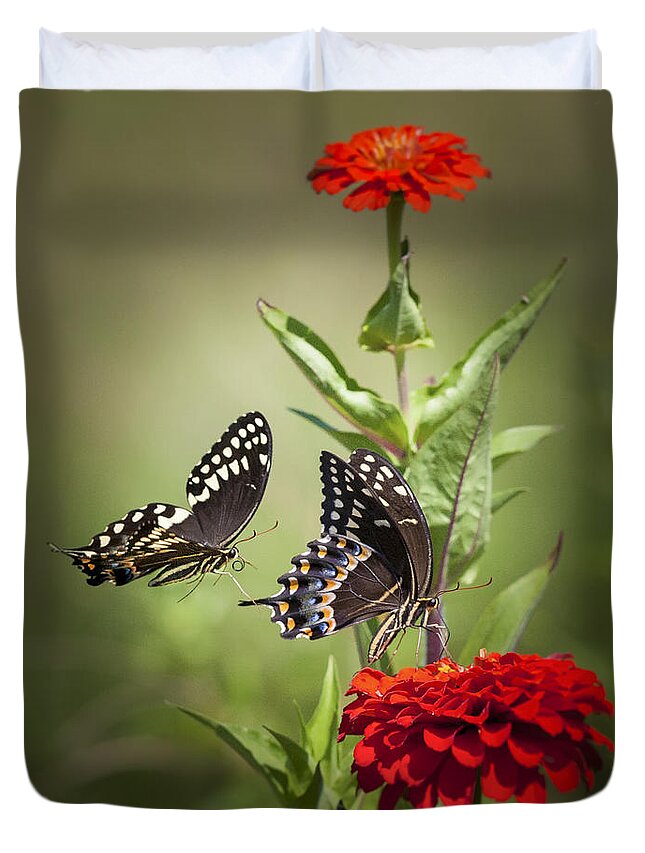 Butterflies Duvet Cover featuring the photograph Palamedes Swallowtail Butterflies by Jo Ann Tomaselli