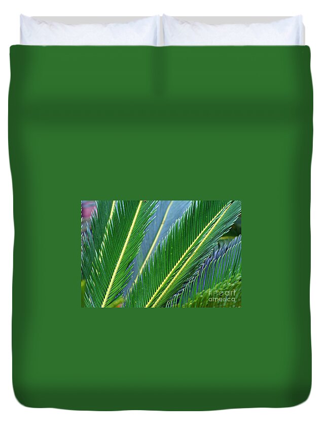 Palm Duvet Cover featuring the photograph Palm Cycas Fronds by Karen Adams