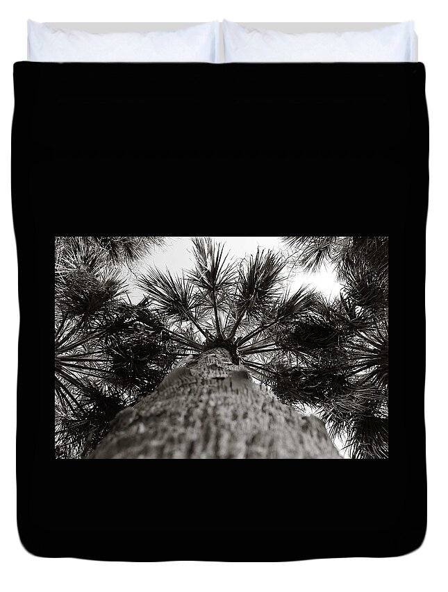 Tree Duvet Cover featuring the photograph Palm in black and white by Jessica Brown