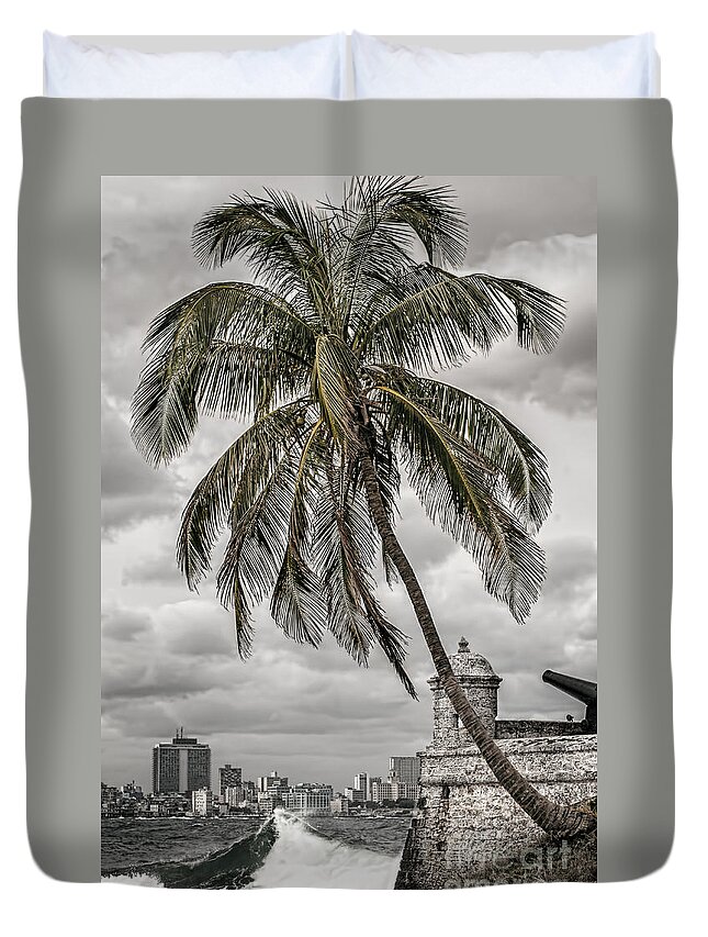 Havana Bay Duvet Cover featuring the photograph Palm tree in Havana bay by Jose Rey