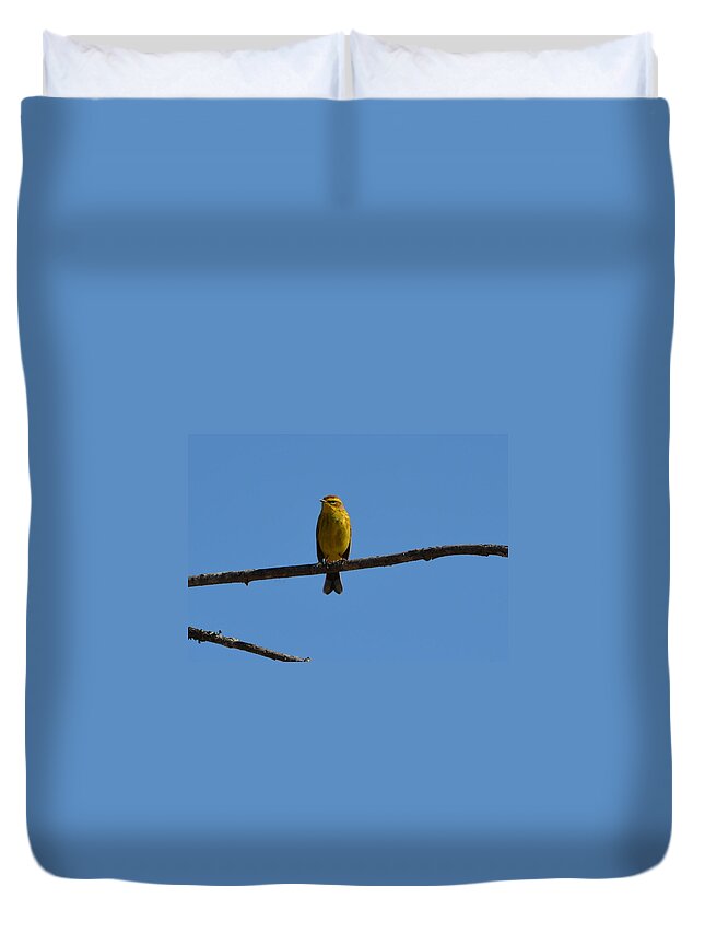 Palm Warbler Duvet Cover featuring the photograph Palm Warbler by James Petersen