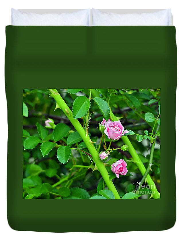 Rose Duvet Cover featuring the photograph Parallel Vines by Al Powell Photography USA