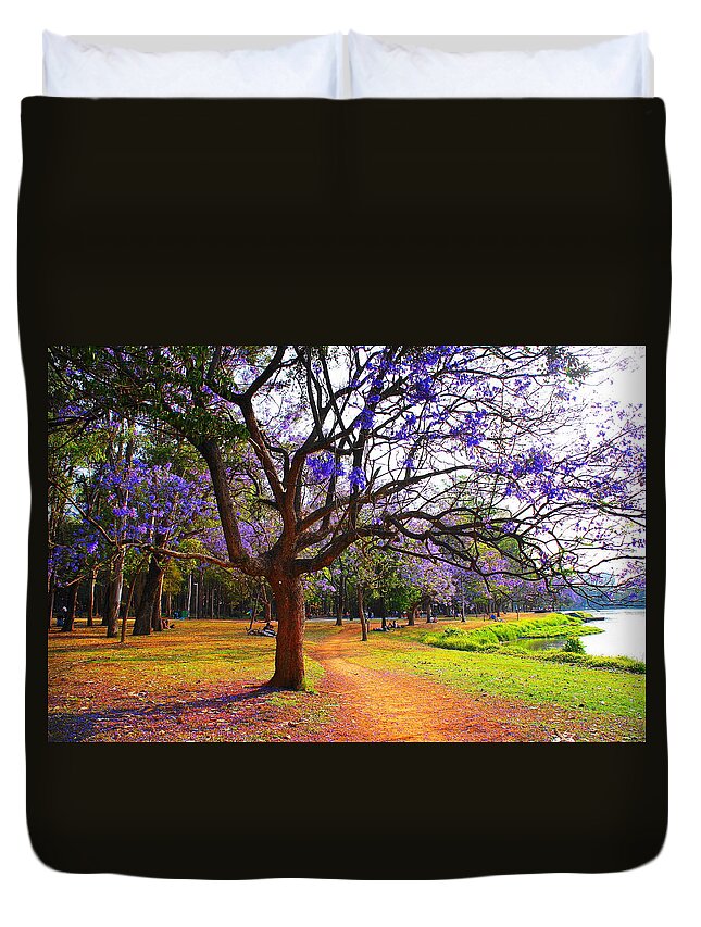 Tranquility Duvet Cover featuring the photograph Parque Do Ibirapuera by Nido Huebl