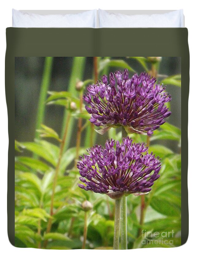 Garden Duvet Cover featuring the photograph Passionately Purple by Brenda Brown