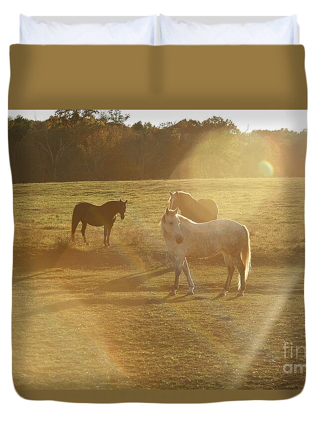 Horses Duvet Cover featuring the photograph Pasture Aliens by Carol Lynn Coronios