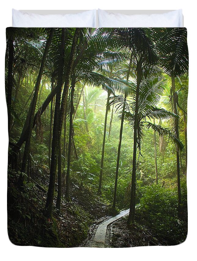 Rainforest Duvet Cover featuring the photograph Pathways by Kathi Isserman