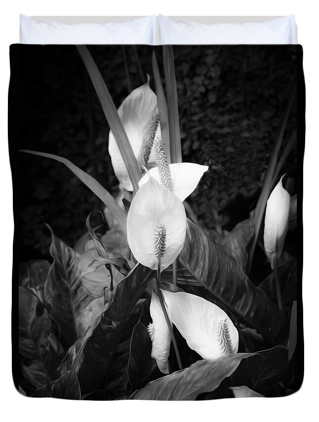 Lily Duvet Cover featuring the photograph Peace Lily or Spath Lily BW by Rich Franco