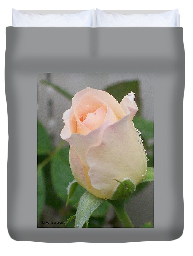 Beautiful #peach #rose #bud Duvet Cover featuring the photograph Fragile Peach Rose Bud by Belinda Lee