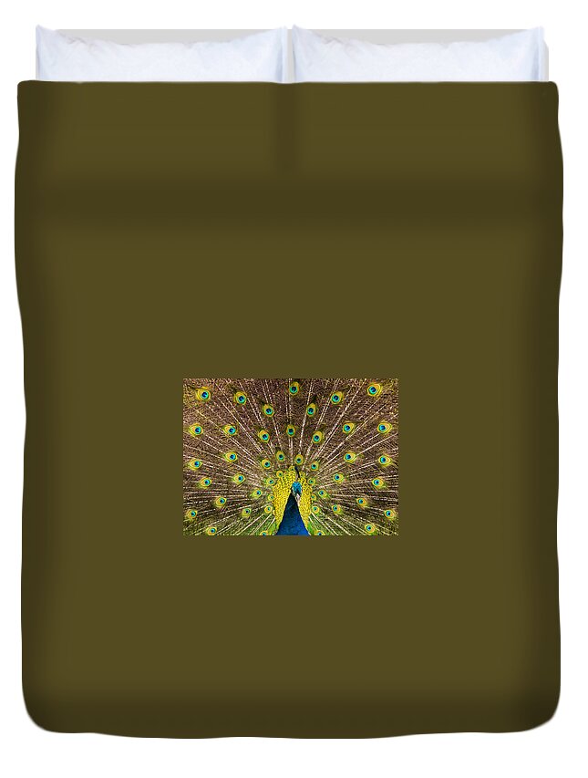 Jamaica Duvet Cover featuring the photograph Peacock Courtship by Stefan Mazzola