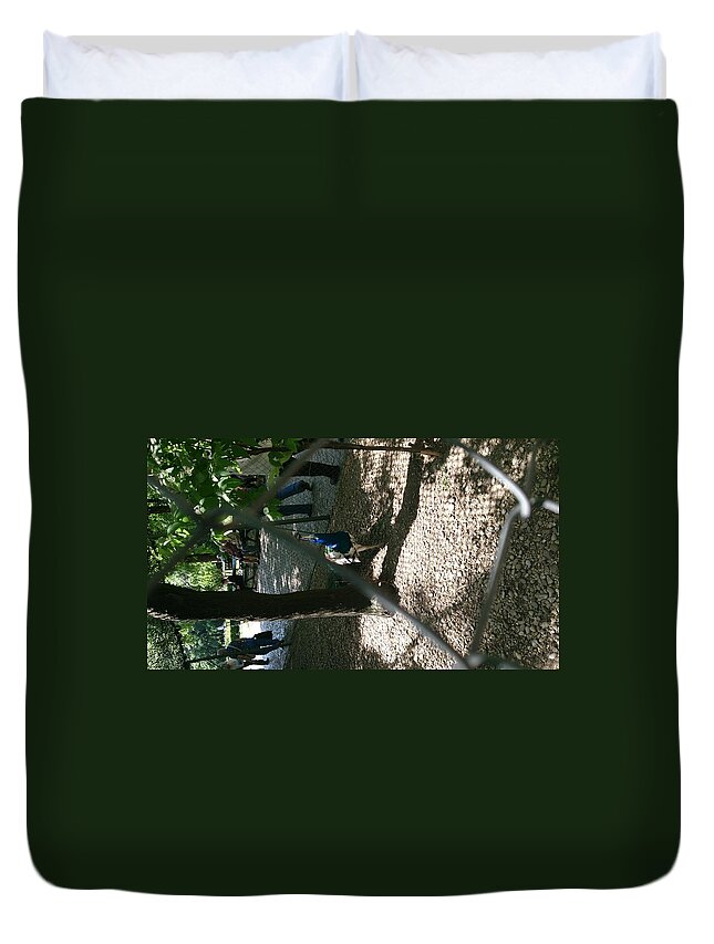 Animals Duvet Cover featuring the photograph Peacock by Moshe Harboun